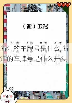 浙江的车牌号是什么,浙江的车牌号是什么开头