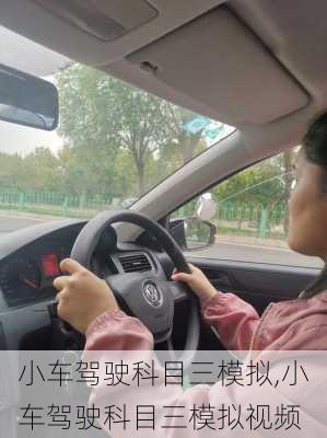 小车驾驶科目三模拟,小车驾驶科目三模拟视频