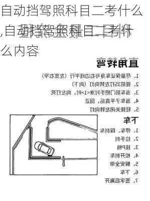 自动挡驾照科目二考什么,自动挡驾照科目二考什么内容