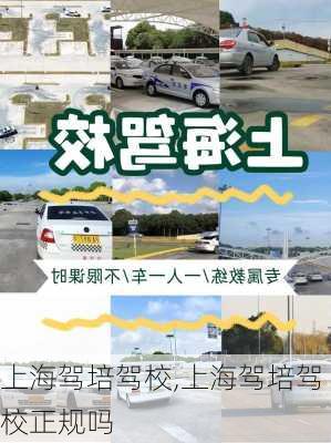 上海驾培驾校,上海驾培驾校正规吗