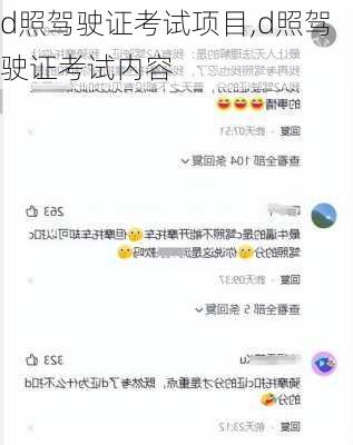 d照驾驶证考试项目,d照驾驶证考试内容