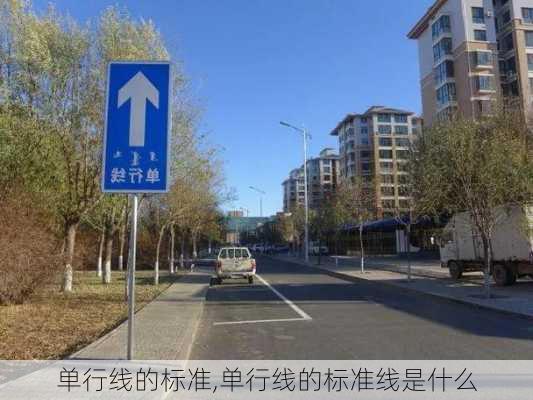 单行线的标准,单行线的标准线是什么