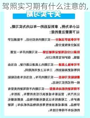 驾照实习期有什么注意的,