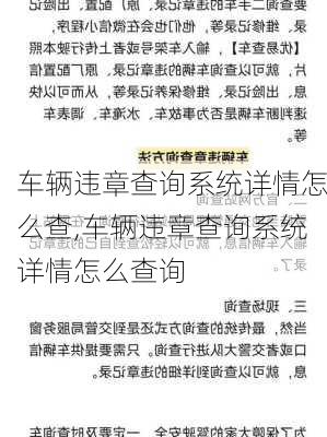 车辆违章查询系统详情怎么查,车辆违章查询系统详情怎么查询