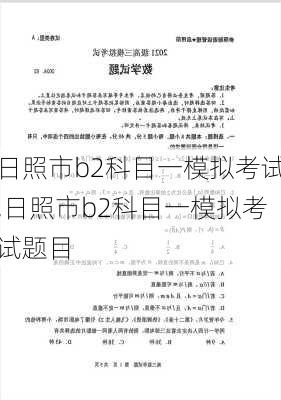 日照市b2科目一模拟考试,日照市b2科目一模拟考试题目