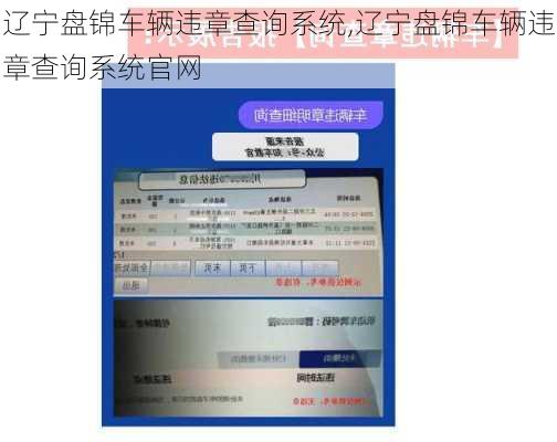 辽宁盘锦车辆违章查询系统,辽宁盘锦车辆违章查询系统官网