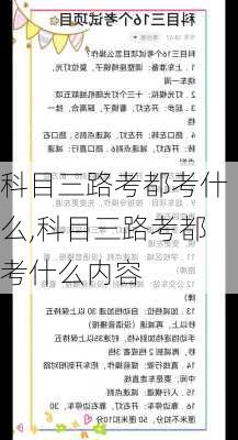 科目三路考都考什么,科目三路考都考什么内容