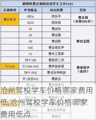 沧州驾校学车价格哪家费用低,沧州驾校学车价格哪家费用低点
