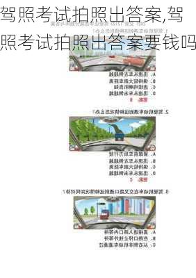 驾照考试拍照出答案,驾照考试拍照出答案要钱吗
