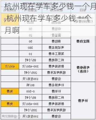 杭州现在学车多少钱一个月,杭州现在学车多少钱一个月啊