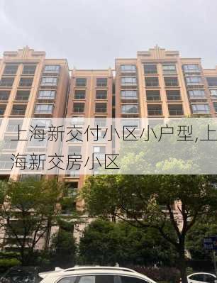上海新交付小区小户型,上海新交房小区