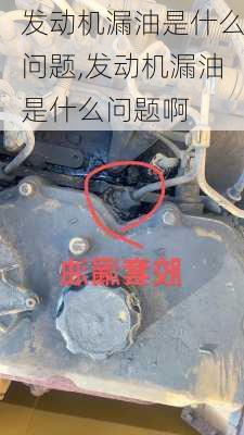 发动机漏油是什么问题,发动机漏油是什么问题啊