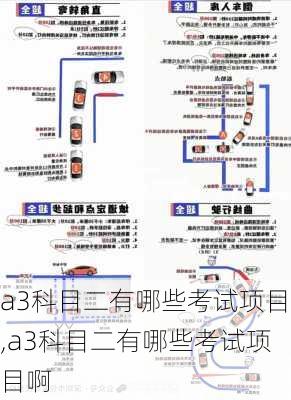 a3科目二有哪些考试项目,a3科目二有哪些考试项目啊