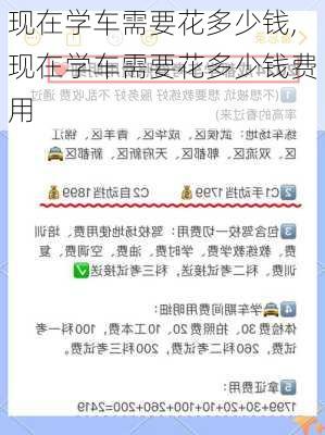 现在学车需要花多少钱,现在学车需要花多少钱费用